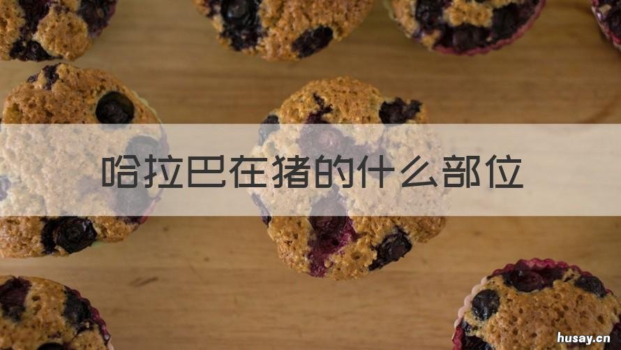 哈拉巴在猪的什么部位 猪的嘎拉哈在哪个部位