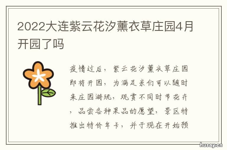 2022大连紫云花汐薰衣草庄园4月开园了吗 大连紫云花汐薰衣草庄园图片