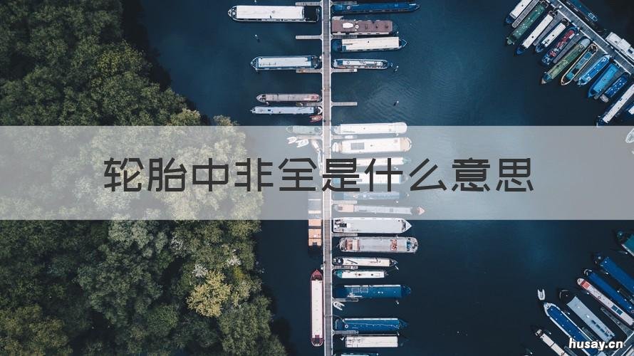 轮胎中非全是什么意思 橡胶非轮胎是什么意思?