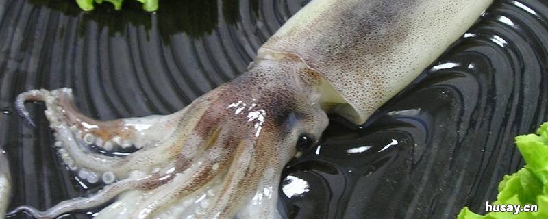 新鲜鱿鱼怎么处理干净 怎样清洗新鲜鱿鱼