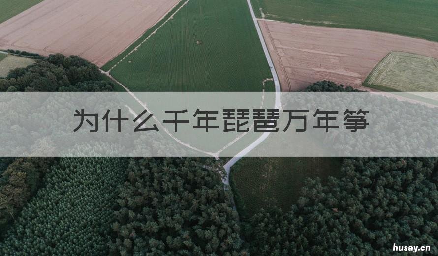 为什么千年琵琶万年筝 千年琵琶万年筝顺口溜