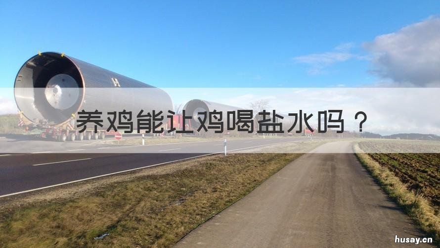 养鸡能让鸡喝盐水吗 食用盐水给鸡喝可以吗