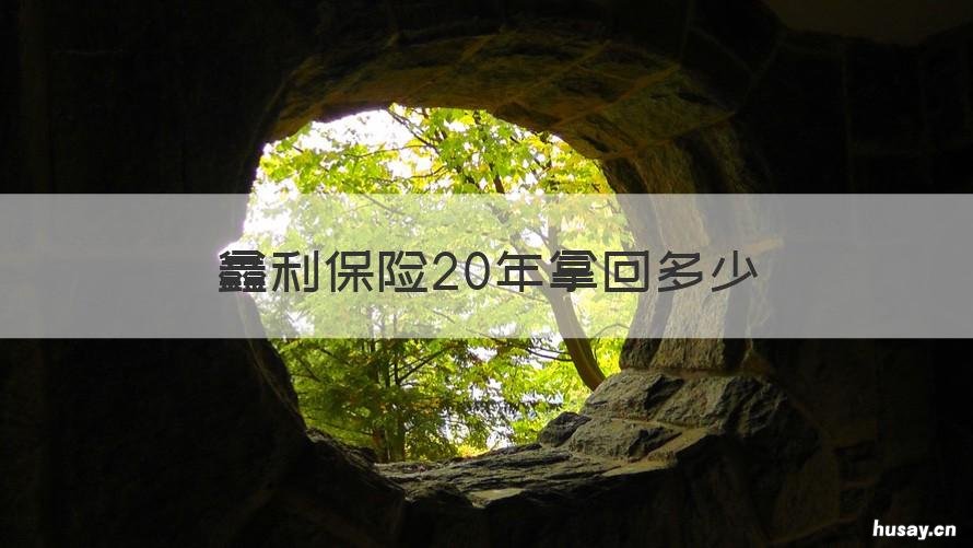 鑫利保险20年拿回多少 鑫利保险交满20年后能否取回本金