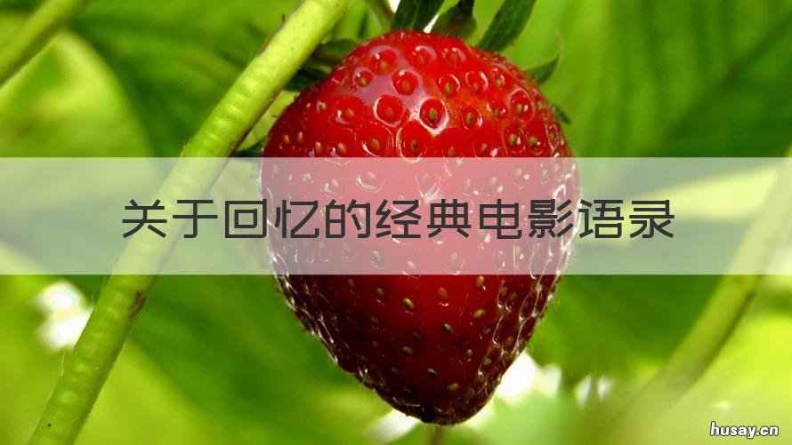 关于回忆的经典电影语录 回忆看电影的句子