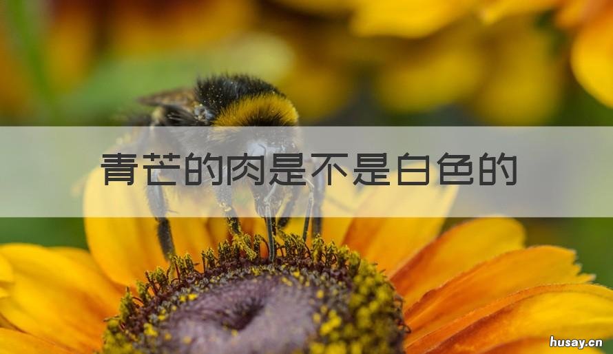 青芒的肉是不是白色的 青芒果里面的肉是什么样子的