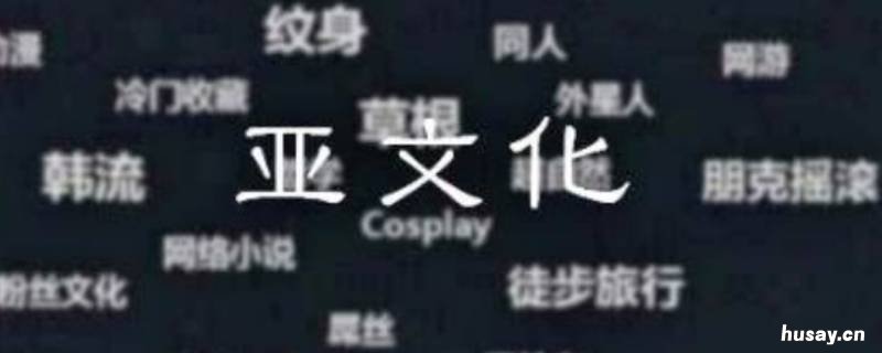 亚文化包括哪些 亚文化包括哪些类型,了解亚文化对于营销有什么帮助?