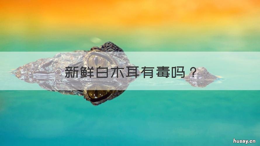 新鲜白木耳有毒吗 吃新鲜白木耳会中毒吗