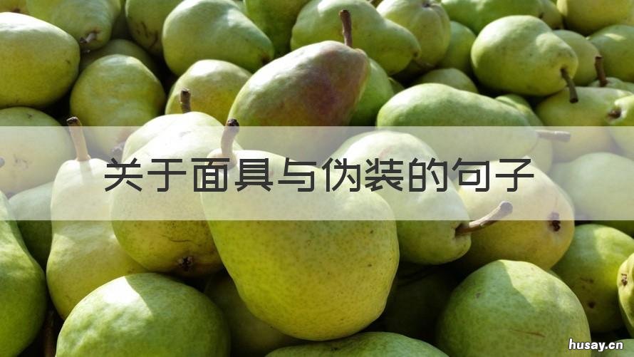 关于面具与伪装的句子 戴上面具伪装自己句子简短