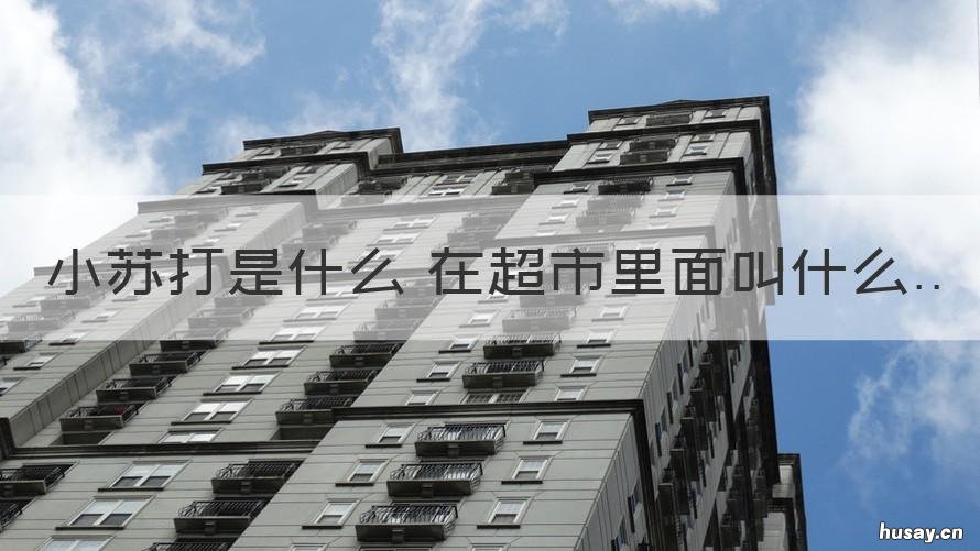 小苏打是什么 在超市里面叫什么 小苏打在超市属于什么类