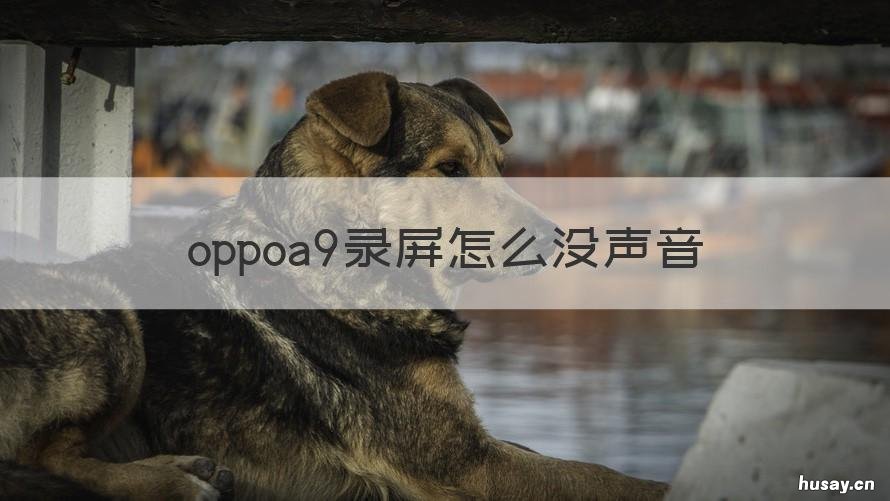 oppoa9录屏怎么没声音 oppoa9为什么录屏没声音
