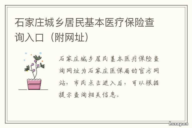 石家庄城乡居民基本医疗保险查询入口 石家庄城乡居民基本医疗保险查询