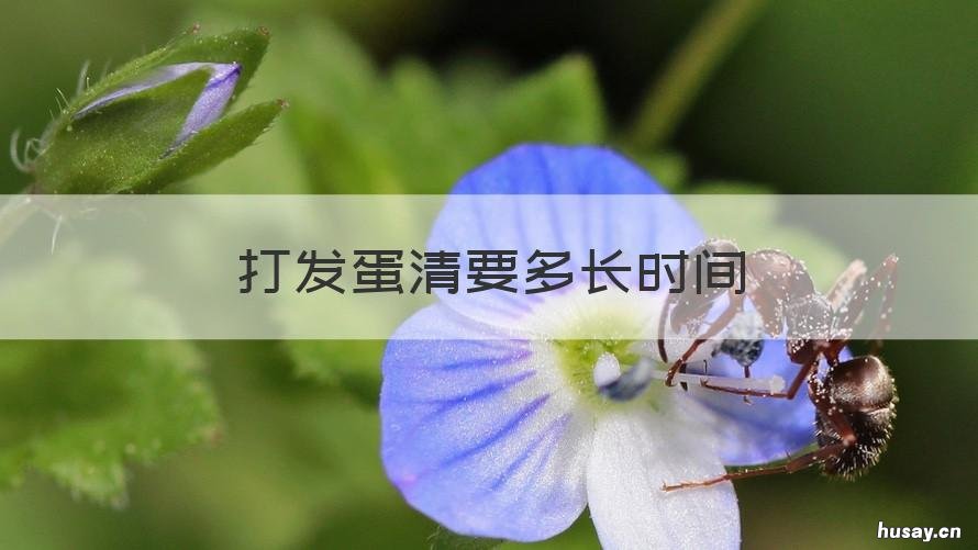 打发蛋清要多长时间 打发蛋清要多长时间最好