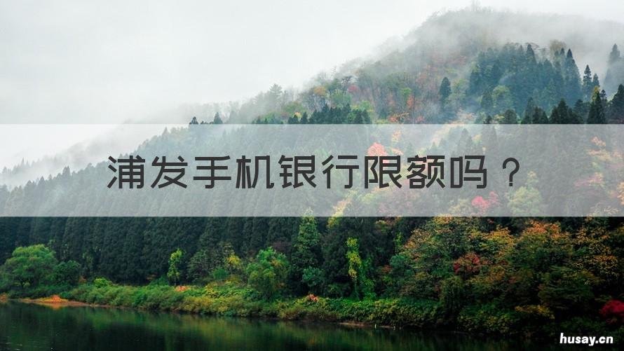浦发手机银行限额吗 浦发手机银行日限额