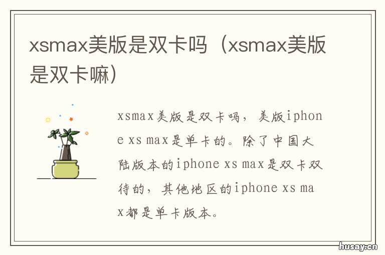 xsmax美版是双卡吗 xsmax美版有双卡吗?