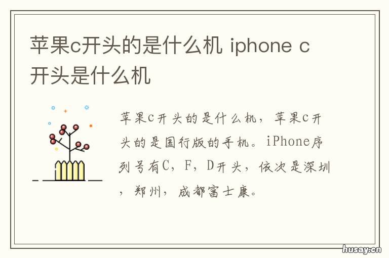 苹果c开头的是什么机 c开头的苹果机是哪里生产的