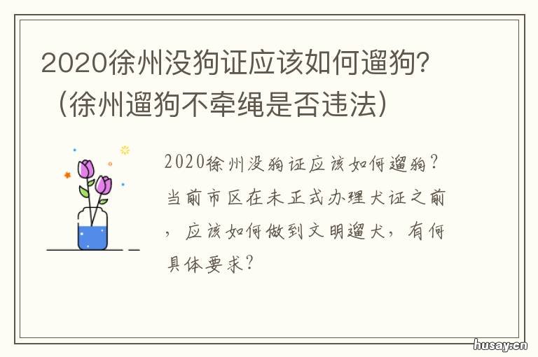 2020徐州没狗证应该如何遛狗？ 徐州遛狗不牵绳是否违法