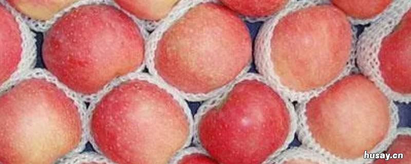 苹果放在冷藏室和冷冻室有什么区别 苹果放在冷藏室和冷冻室有什么不一样