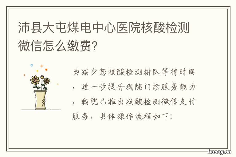 沛县大屯煤电中心医院核酸检测微信怎么缴费? 沛县核酸检测几小时出结果