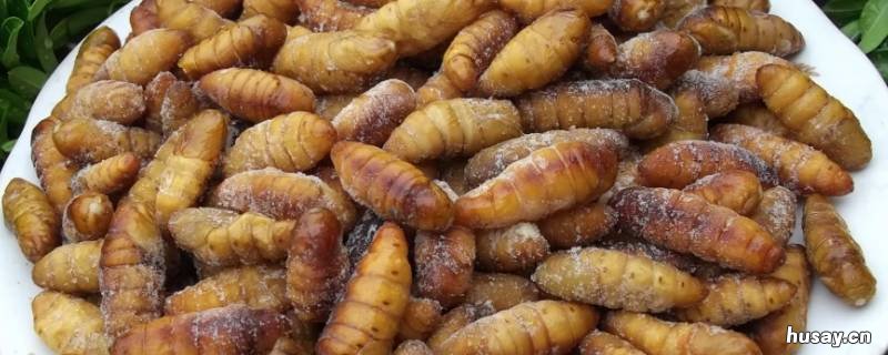 蚕蛹死了保质期多久 蚕蛹的保质日期是多少