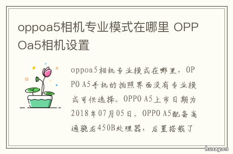 oppoa5相机专业模式在哪里 oppo相机的专业模式在哪