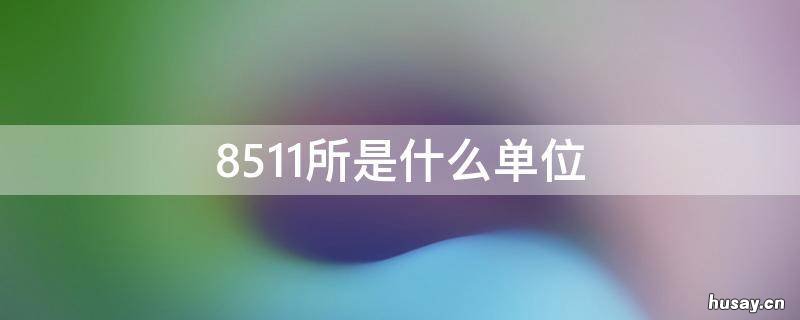 8511所是什么单位 8511所是几院