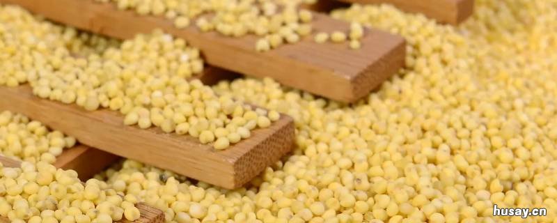 大黄米和糯米有什么区别 大黄米与糯米的区别