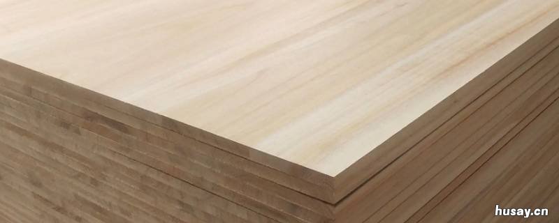 桐木是什么木材