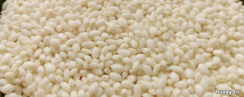 酒米是糯米吗 大酒米就是糯米吗