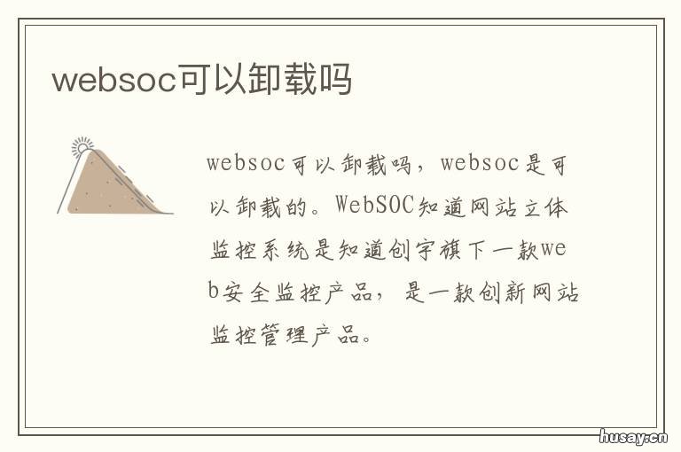 websoc可以卸载吗