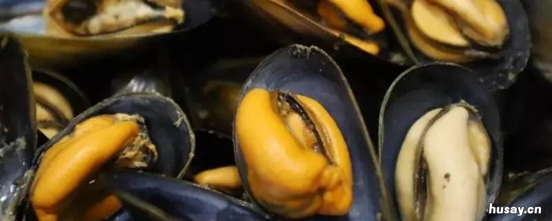 海虹开锅后蒸几分钟熟 海虹水开后蒸几分钟