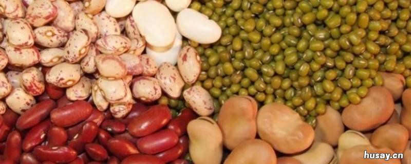 哪些食物属于粗粮 哪些食物属于粗粮食物数量应注意什么