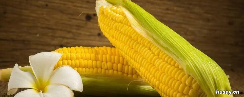 蒸玉米怎么蒸 电饭锅蒸玉米怎么蒸