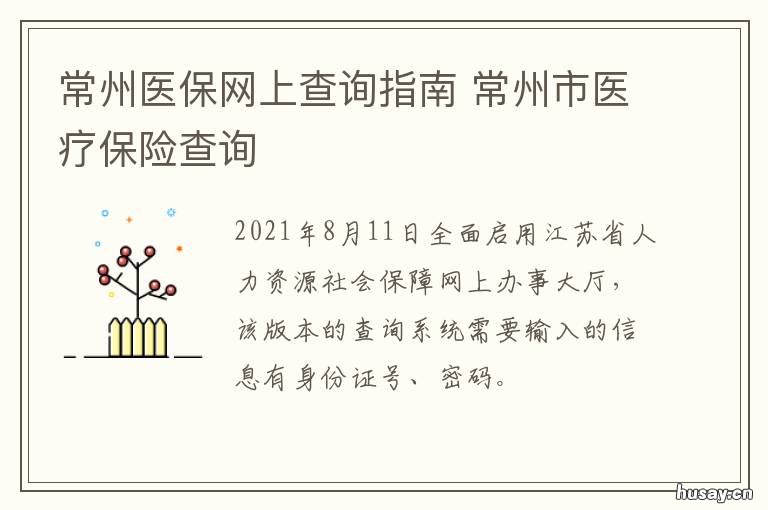 常州医保网上查询指南 常州市医疗保险查询