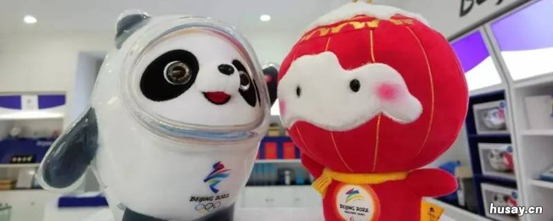 冰墩墩的外壳是什么意思 冰墩墩是什么样子的