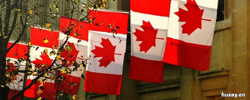 国旗上有树叶的是什么国家 有树叶的国旗是哪个国家的