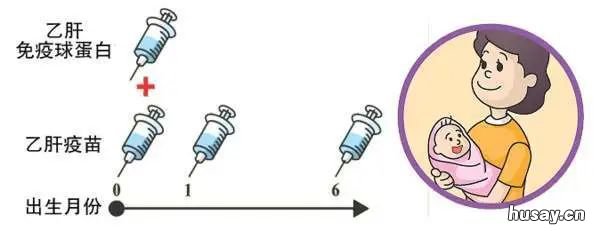 无锡新生儿接种乙肝疫苗的免疫程序是什么? 无锡新生儿接种乙肝疫苗的免费地点
