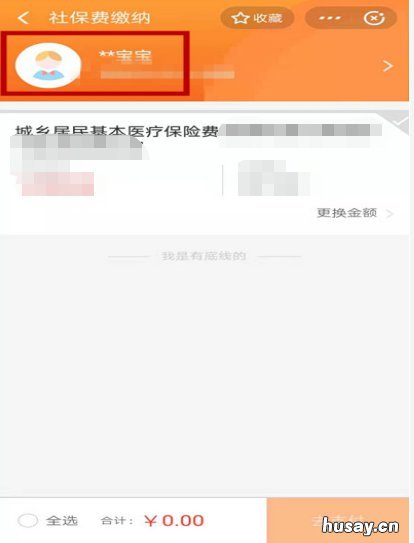 江苏社保费用可以在支付宝上缴纳吗 支付宝上可以交社保费吗