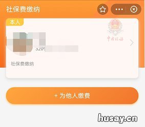 江苏社保费用可以在支付宝上缴纳吗 支付宝上可以交社保费吗