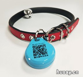 无锡智能犬牌怎么使用? 无锡电子狗牌怎么办理