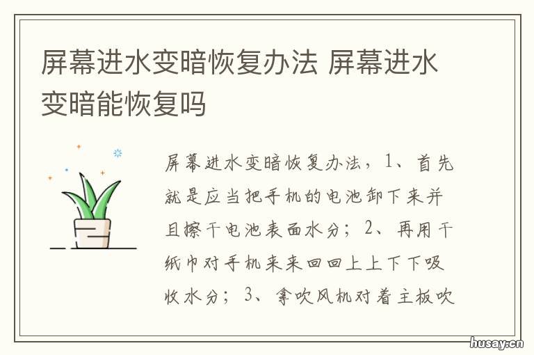 屏幕进水变暗恢复办法 手机进水之后屏幕变暗怎么办