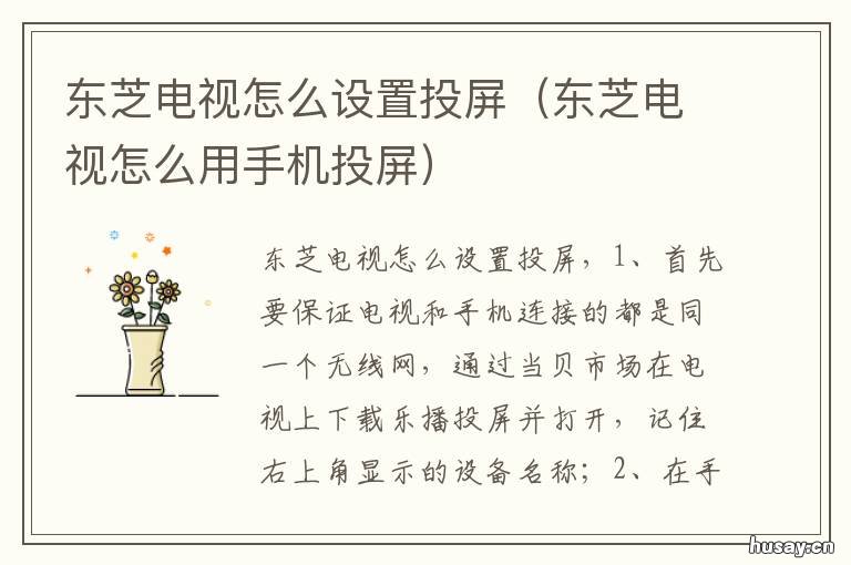 东芝电视怎么设置投屏 东芝电视怎么设置投屏方式
