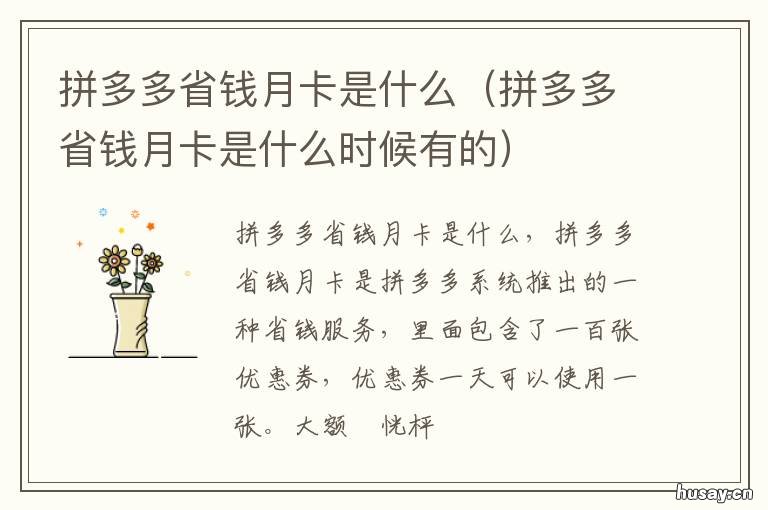 拼多多省钱月卡是什么 拼多多省钱月卡是什么意思