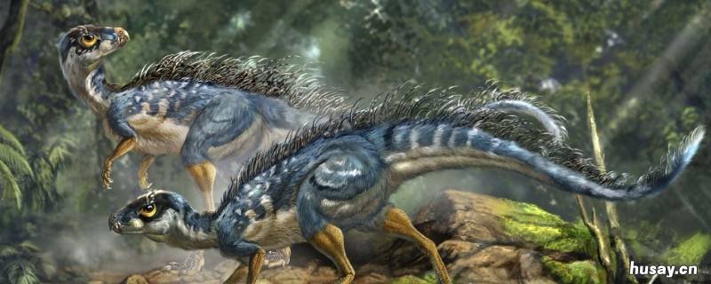 中国有哪些恐龙 中国有哪些恐龙?