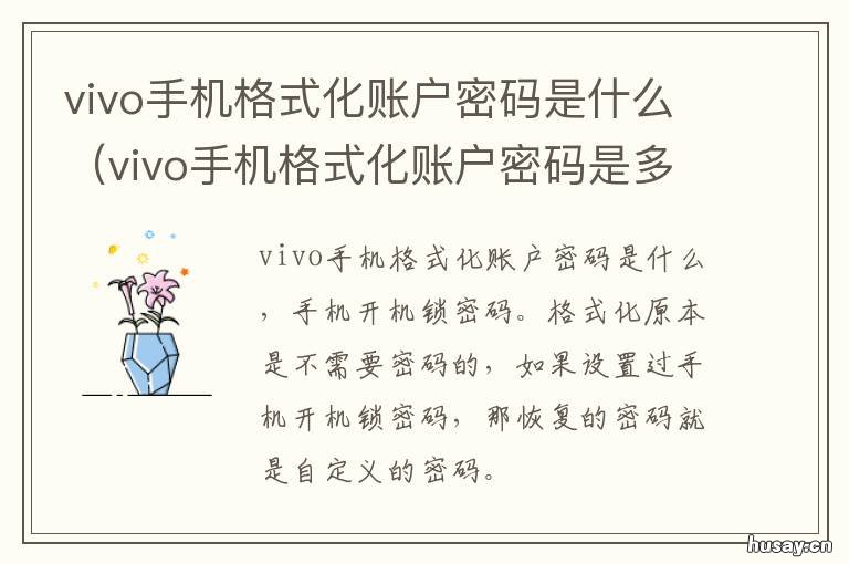 vivo手机格式化账户密码是什么 vivo手机格式化账户密码是什么样的