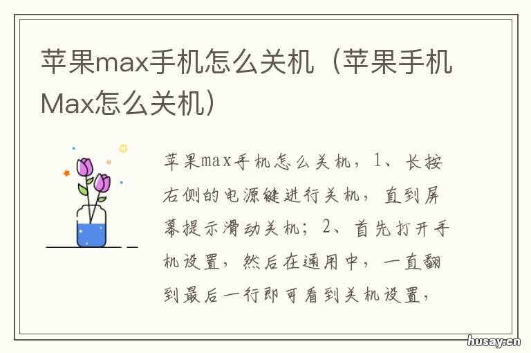 苹果max手机怎么关机 苹果6plus怎么关机