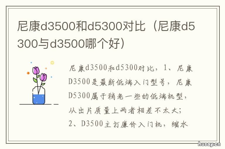 尼康d3500和d5300对比 尼康d3500与d5300的区别
