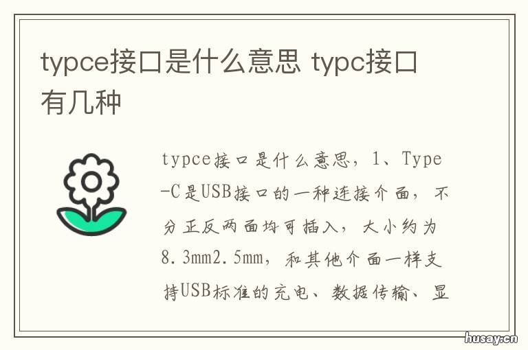 typce接口是什么意思