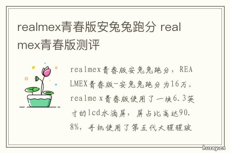realmex青春版安兔兔跑分