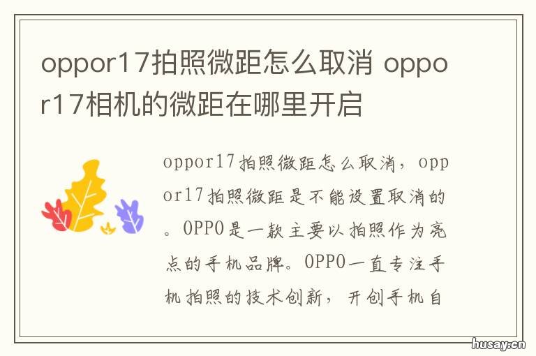 oppor17拍照微距怎么取消 oppo相机微距怎么设置