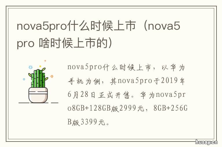 nova5pro什么时候上市(nova5 Nova5pro上市时间
